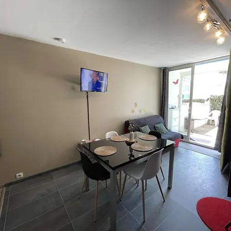 Confortable Avec Terrasse Et Parking A 300m De La - Fr-1-224c-236 Apartman *
