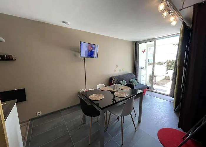 Confortable Avec Terrasse Et Parking A 300m De La - Fr-1-224c-236 Apartman *