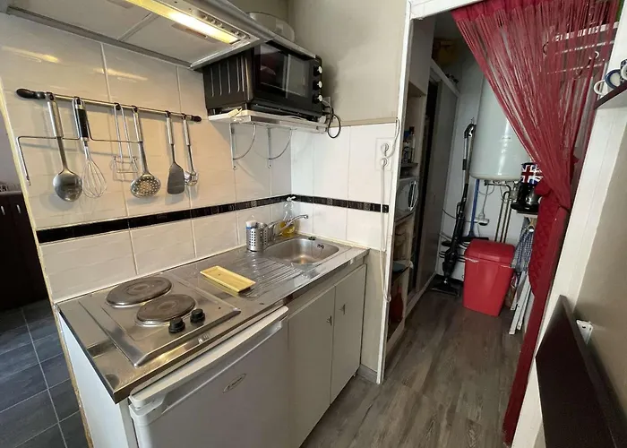 Apartman Confortable Avec Terrasse Et Parking A 300m De La - Fr-1-224c-236 *